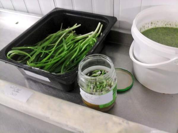 12748046_1061968890531866_1083730709581522822_o