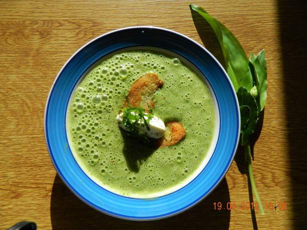 13072824_10206839059483205_7312798233491908238_o