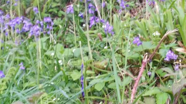 13164474_10204669815863680_4734116905329518877_n