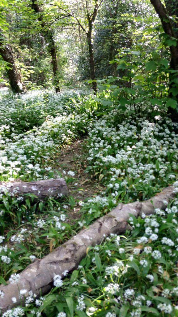 13214873_10209463039276679_1476800111_o