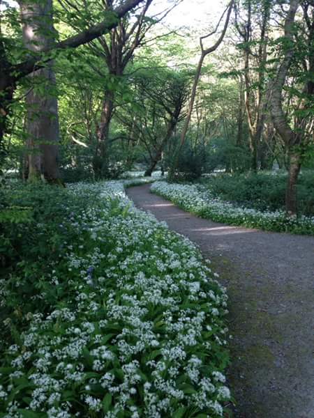 13220881_10209468182965268_2693282034674035468_n