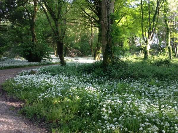 13239952_10209468183085271_2171483397638933845_n