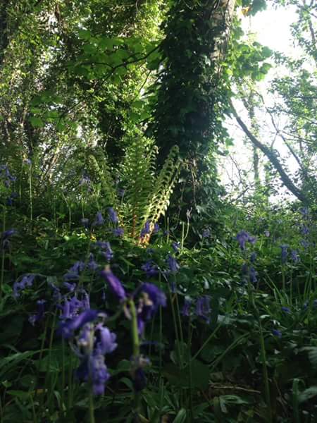 13241104_10209468182765263_3195875057436899100_n