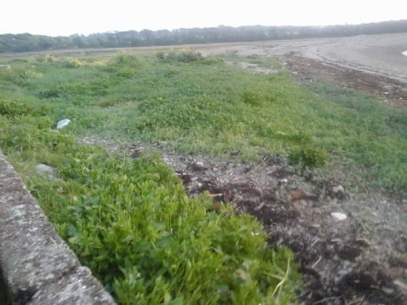 13327617_1042002255868313_3307396316768572733_n