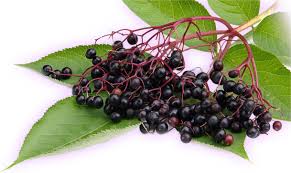 2016-08-18-21-54-35-448865198