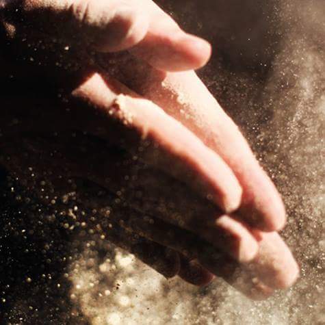 14433096_309656789397040_6535330128403846259_n