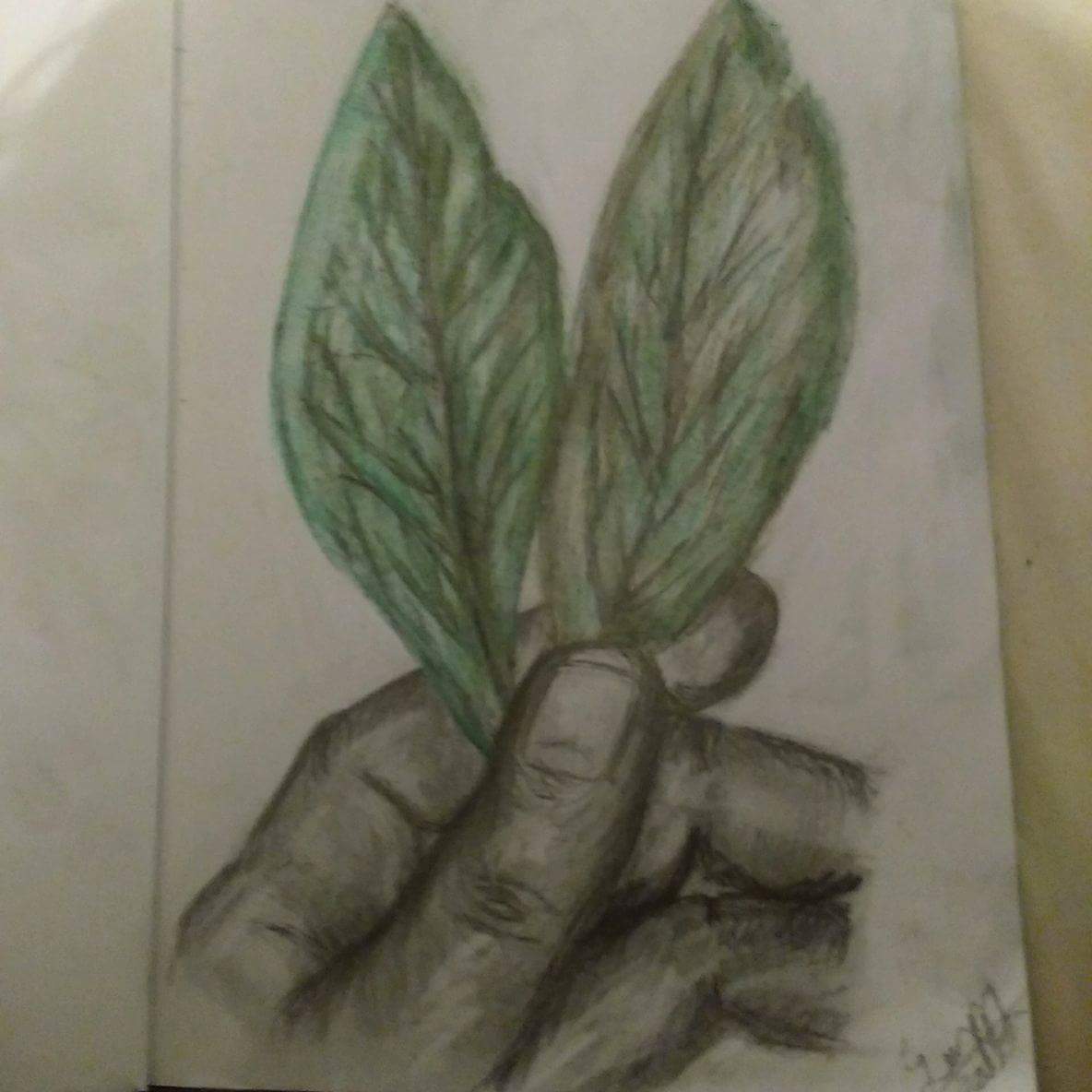 received_10157848579370179