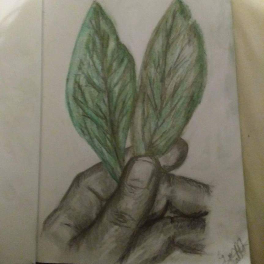 received_10157848579370179