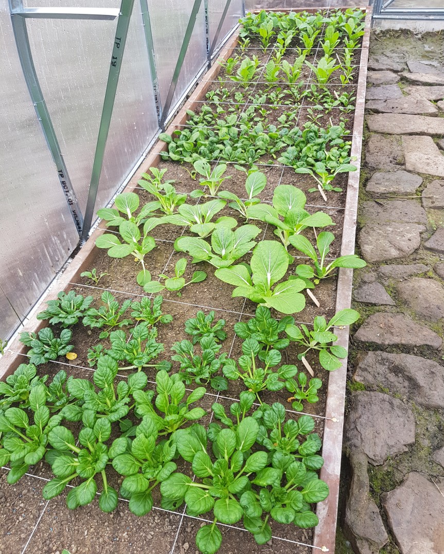 IMG_20171120_150414_131