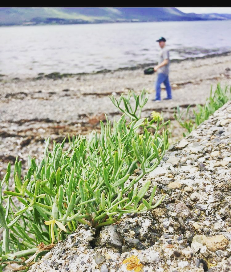 IMG_20180708_003313_054